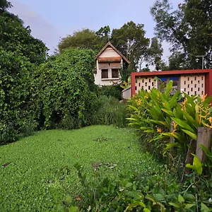 Mia India